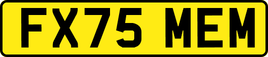 FX75MEM