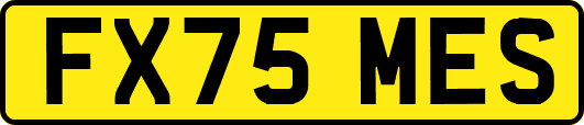FX75MES