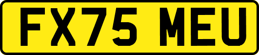 FX75MEU