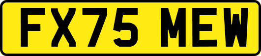 FX75MEW