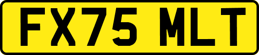 FX75MLT