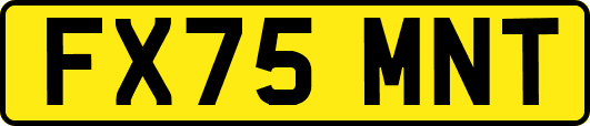 FX75MNT