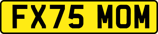 FX75MOM