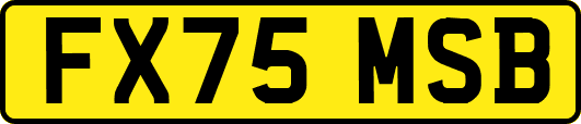 FX75MSB