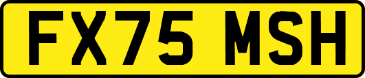 FX75MSH