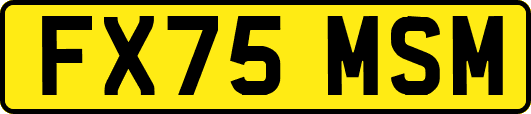 FX75MSM