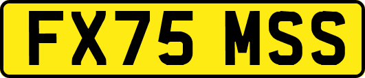 FX75MSS