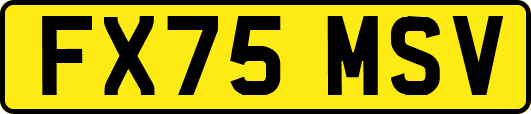 FX75MSV