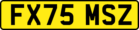FX75MSZ
