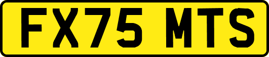 FX75MTS