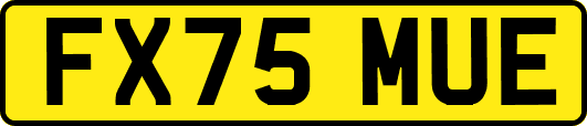 FX75MUE