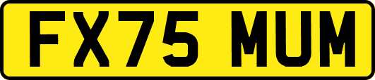 FX75MUM