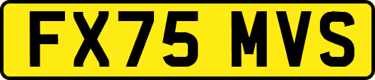 FX75MVS