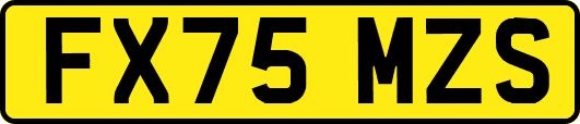 FX75MZS