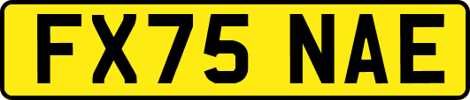 FX75NAE