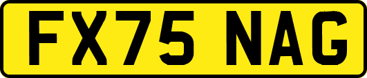 FX75NAG