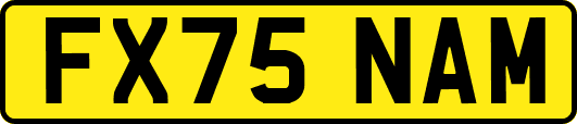 FX75NAM