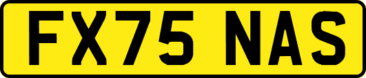 FX75NAS