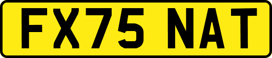 FX75NAT
