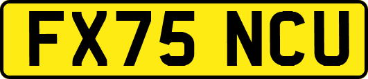 FX75NCU