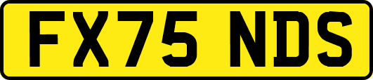 FX75NDS