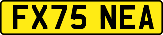 FX75NEA