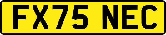 FX75NEC