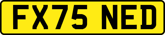 FX75NED
