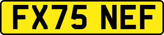 FX75NEF