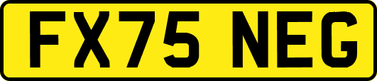 FX75NEG