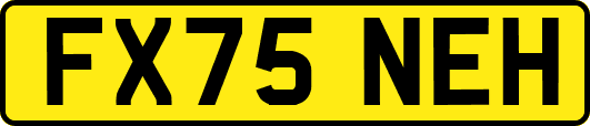 FX75NEH