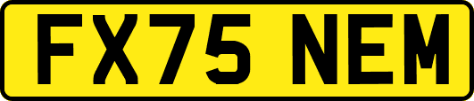 FX75NEM