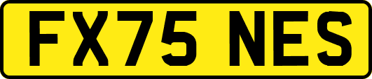 FX75NES