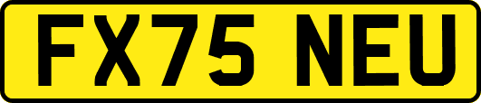 FX75NEU