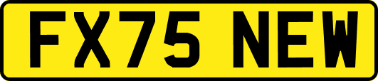 FX75NEW