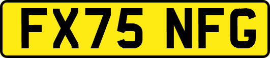 FX75NFG