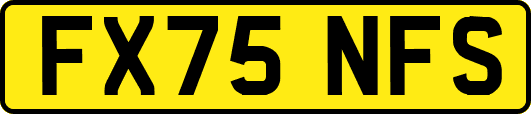 FX75NFS