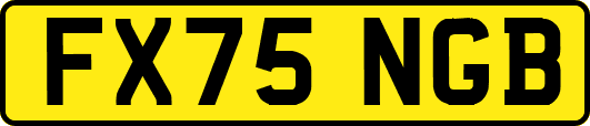 FX75NGB