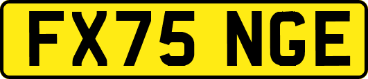 FX75NGE