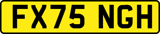 FX75NGH