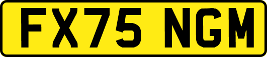 FX75NGM