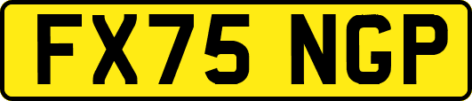 FX75NGP