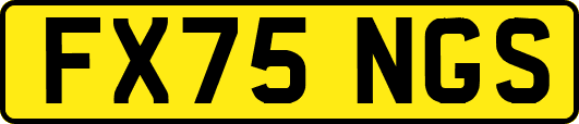 FX75NGS