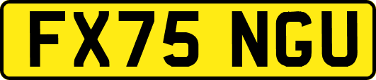 FX75NGU