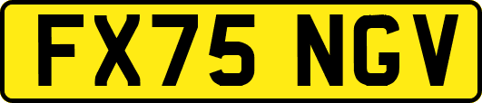 FX75NGV