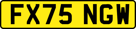 FX75NGW