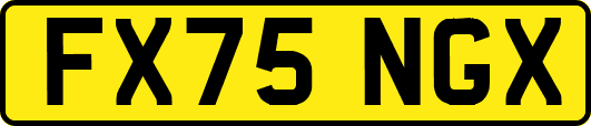 FX75NGX