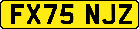 FX75NJZ