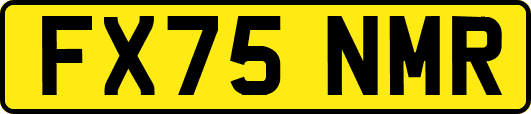 FX75NMR