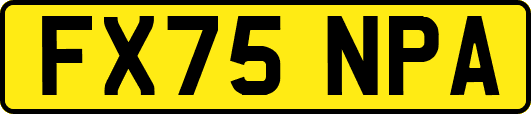 FX75NPA